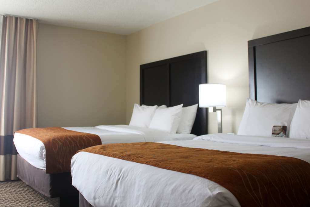 Comfort Inn Matteson - Chicago Pokoj fotografie